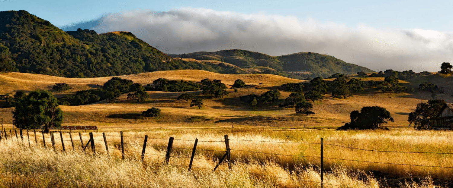 How To Fence Blog